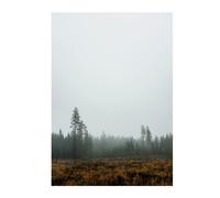 Fine Little Day Póster Skog 70 x 100 cm