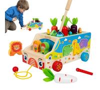 Fine Motor Toys - Magnetic Fishing Game | Carrot Harvest Shape And Colour Sorting for toddllers Travel Toy Gift for 2 Year Old Boy Girl Kids Preschool Classroom Homeschool Developmental