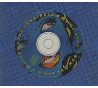 Fine Young Cannibals - Fine Young Cannibals I'm Not The Man I Used To Be 1989 UK CD single LOFCD244