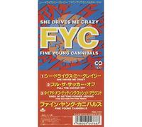 Fine Young Cannibals - She Drives Me Crazy