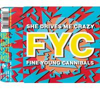 Fine Young Cannibals - She Drives me Crazy [Import]