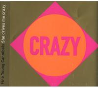 Fine Young Cannibals - She Drives Me Crazy [Import]