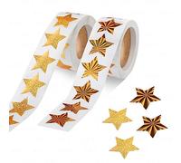 FINEASY 1000Pcs Pegatinas Estrella de Oro Metálicas para Niños, 2 Rollos de Pegatinas de Recompensa, Rollo de Etiquetas Autoadhesivas para Manualidades DIY Profesores Padres Escuela Aula