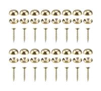 FINELYCR 16 Piezas Embellecedor Tornillo, 25 mm para Espejo, Decorativos de Latón con Tapas, para Espejos y Muebles