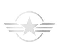 Finest Folia Juego de 2 pegatinas para el coche, diseño de estrella del ejército, para coche, moto, diseño 4, autoadhesivas, resistente a la intemperie, accesorios para coche (plata, 15 x 25 cm, K171)