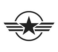 Finest Folia Juego de 2 pegatinas para el coche, diseño de estrella del ejército, para coche, motocicleta, diseño 4, autoadhesivas, resistente a la intemperie, accesorios para coche (negro mate, 60 x