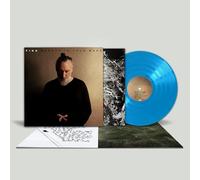 Fink - Beauty in Your Wake [Vinyl LP] [Vinilo]