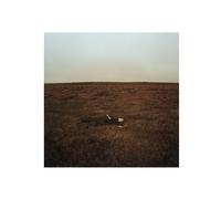 Fink The City Is Coming to Erase It All (Vinyl) 12" Album