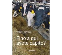 Fino a qui avete capito?