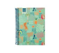 Finocam - Agenda Diva Curso 2025 2026 Semana Vista Horizontal Septiembre 2025 - Junio 2026 (curso lectivo) + Julio y Agosto resumidos Selva Español