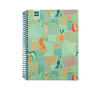 Finocam - Agenda Diva Curso 2025 2026 Semana Vista Horizontal Septiembre 2025 - Junio 2026 (curso lectivo) + Julio y Agosto resumidos Selva Español