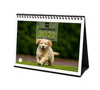 Finocam - Calendario 2022 S - 210x150 mm Imágenes de Sobremesa para Escribir Cachorros Español