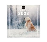 Finocam, Calendario 2023 Imágenes de Pared Internacional Enero 2023, Diciembre 2023 (12 meses) Dogs Internacional, Pared 30X30, mediano