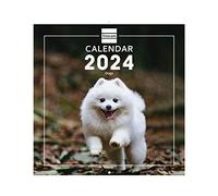 Finocam - Calendario 2024 Imágenes de Pared Internacional Enero 2024 - Diciembre 2024 (12 meses) Dogs Internacional