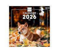 Finocam - Calendario de pared 2026 18x18 cm Mes Vista Enero - Diciembre 2026 + Sep.- Dic. 2025 (4 meses) reducidos | Calendario 2026 | Imágenes Dogs - Internacional