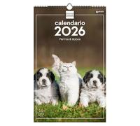 Finocam - Calendario de pared 2026 25x40 cm Mes Vista Enero - Diciembre 2026 + Sep.- Dic. 2025 (4 meses) reducidos | Calendario 2026 | Imágenes Perros y gatos - Español