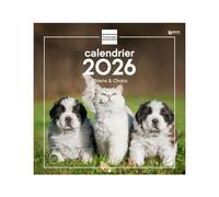 Finocam - Calendario de pared 2026 30 x 30 cm 1 mes por página enero - diciembre 2026 + septiembre - diciembre 2025 (4 meses) descuento | Calendario2026 | Imágenes de Perros y gatos francés