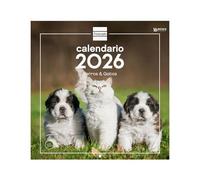 Finocam - Calendario de pared 2026 30x30 cm Mes Vista Enero - Diciembre 2026 + Sep.- Dic. 2025 (4 meses) reducidos | Calendario 2026 | Imágenes Perros y gatos - Español
