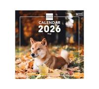 Finocam - Calendario de pared 2026 30x30 cm Mes Vista Enero - Diciembre 2026 + Sep.- Dic. 2025 (4 meses) reducidos | Calendario 2026 | Imágenes Dogs - Internacional