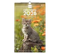 Finocam - Calendario de pared 2026 25x40 cm Mes Vista Enero - Diciembre 2026 + Sep.- Dic. 2025 (4 meses) reducidos | Calendario 2026 | Imágenes Gatitos - Español