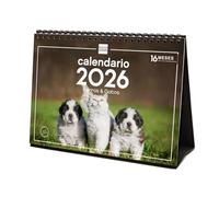 Finocam - Calendario de sobremesa 2026 Mes Vista Enero - Diciembre 2026 + Sep.- Dic. 2025 (4 meses) reducidos | Calendario 2026 | Imágenes Perros y gatos - Español