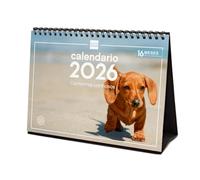 Finocam - Calendario de sobremesa 2026 Mes Vista Enero - Diciembre 2026 + Sep.- Dic. 2025 (4 meses) reducidos | Calendario 2026 | Imágenes Cachorros - Español