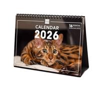 Finocam - Calendario de sobremesa 2026 Mes Vista Enero - Diciembre 2026 + Sep.- Dic. 2025 (4 meses) reducidos | Calendario 2026 | Imágenes Cats - Internacional