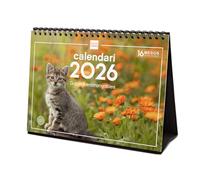 Finocam - Calendario de sobremesa 2026 Mes Vista Enero - Diciembre 2026 + Sep.- Dic. 2025 (4 meses) reducidos | Calendario 2026 | Imágenes Gatitos - Catalán