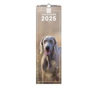Finocam - Calendario Imágenes de Pared 15x48 Internacional 2025 Mes Vista Enero 2025 - Diciembre 2025 (12 meses) Dogs Internacional