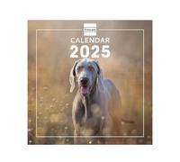 Finocam - Calendario Imágenes de Pared Internacional 2025 Mes Vista Enero 2025 - Diciembre 2025 (12 meses) Dogs Internacional