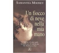 Fiocco Di Neve Nella Mia Mano (Un) [Italia] [DVD]