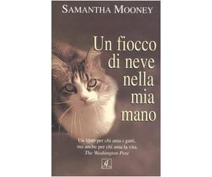 Fiocco Di Neve Nella Mia Mano (Un) [Italia] [DVD]