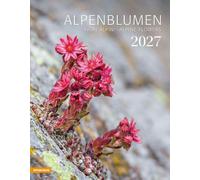 Fiori alpini. Calendario 2027: Fiori alpini - Alpine flowers