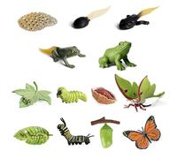 Fiotha Juego de 13 Figuras de Insectos sobre, Figuras de Insectos Ciclo de Vida de Mariposas Modelo de Rana, Mariposa y Polilla Lunar, Insectos Juguete, Juguete De Insectos para Niños Pequeños