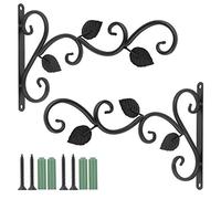 Fippy 2 Piezas Soporte para Plantas Colgantes, Soporte para Cesta Colgante de Pared, Gancho de Jardín Retro de 12 Pulgada, Soportes Decorativos para Plantas con Tornillos para Alimentador de Pájaros