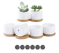 Fippy Macetas de cerámica de 8,1 cm, color blanco, mini plantas suculentas, maceta con bandeja de bambú y almohadilla de malla, perfecto para decoración de la oficina en el hogar, paquete de 6,