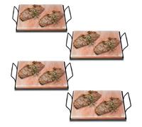 Fiqops 4 piedras de sal para asar XXL, 20 x 30 x 3 cm, sal con placa de hierro, reutilizable, sal de cristal original de las montañas