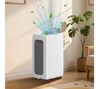 Fiqops Deshumidificador automático de 26 l/día, deshumidificador eléctrico con temporizador de 24 H, modo de sueño, función de descongelación, moho, deshumidificador pequeño, para aprox. 30 ㎡