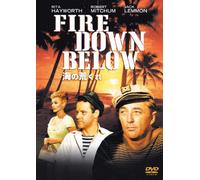 Fire Down Below [DVD de Audio]