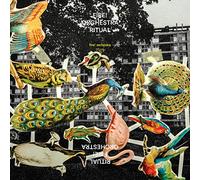 Fire! Orchestra - Ritual [VINYL] [Vinilo]