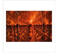 Firecracker in a Box of Mirror