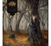 Fires in the Distance - Echoes From Deep November [Vinilo]