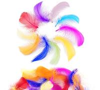 Firschoie 500 piezas Plumas manualidadesm, Naturales Plumas Decoracion, Plumas Manualidades de Colores para Bricolaje, Boda, Atrapasueños, Plumas para Tocados, Sombreros, Decoración del Hogar(6-12cm)