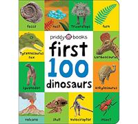 First 100 Dinosaurs (First 100 Soft To Touch)