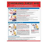 First Aid For Choking Poster Emergency Care Instructions Heimlich Maneuver CPR Steps Minimalist Design Education For Office Restaurant Healthcare(Unframed,16x24inch(40x60cm))