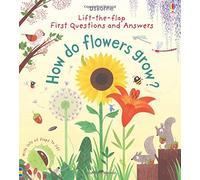 First Lift-the-Flap Questions and Answers How Do Flowers Grow? (Lift-the-Flap First Questions and Answers) by Katie Daynes (2015-05-01)