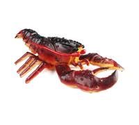 FIRSTXIU Figura de langosta artificial de animales marinos, figuras de mariscos para decoración del hogar, actividades temáticas educativas