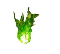 FIRSTXIU Lámpara de Halloween con llama brillante, bolas de fuego flotantes, para exteriores, Navidad, fiesta, camping, accesorios de luz
