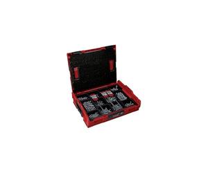 fischer L-BOXX - Maletín de 1052 Piezas - Surtido de Tacos de Nailon universales, Tacos metálicos para Cuerpo Hueco y cartón Yeso, Tornillos para Madera y bosques