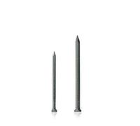 fischer - Small Fix Bolsa Punta Acero Cp 2,5X50 / (Pac de 1 Uds), 514926
